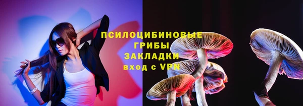 стафф Верхний Тагил