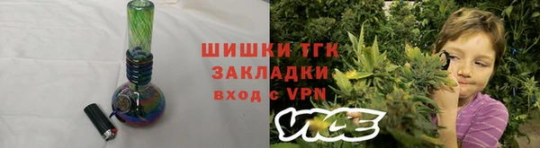 стафф Верхний Тагил